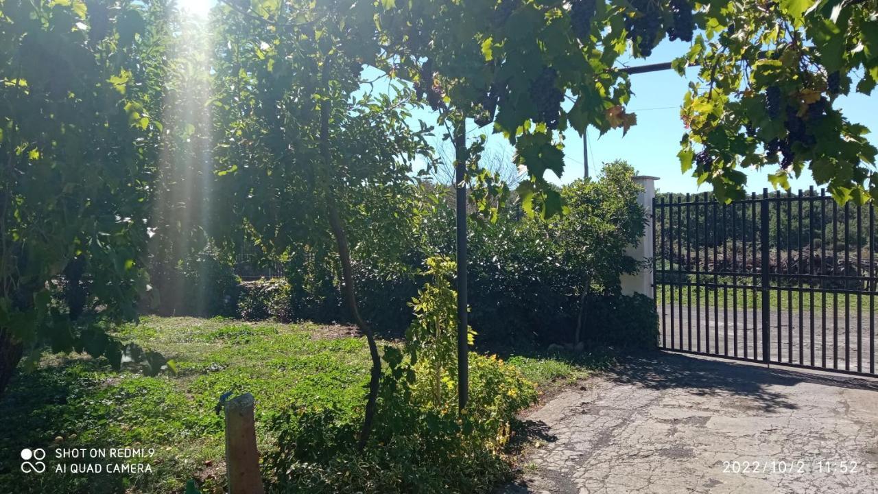 Villa Etna, Salvia E Rosmarino Maletto Exterior foto