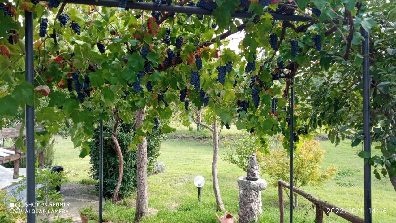 Villa Etna, Salvia E Rosmarino Maletto Exterior foto